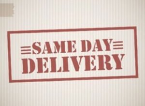 Same Day Delivery Newlight Transport